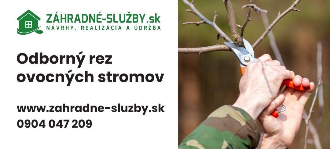 ODBORNY REZ OVOCNYCH STROMOV | PREŠOV |