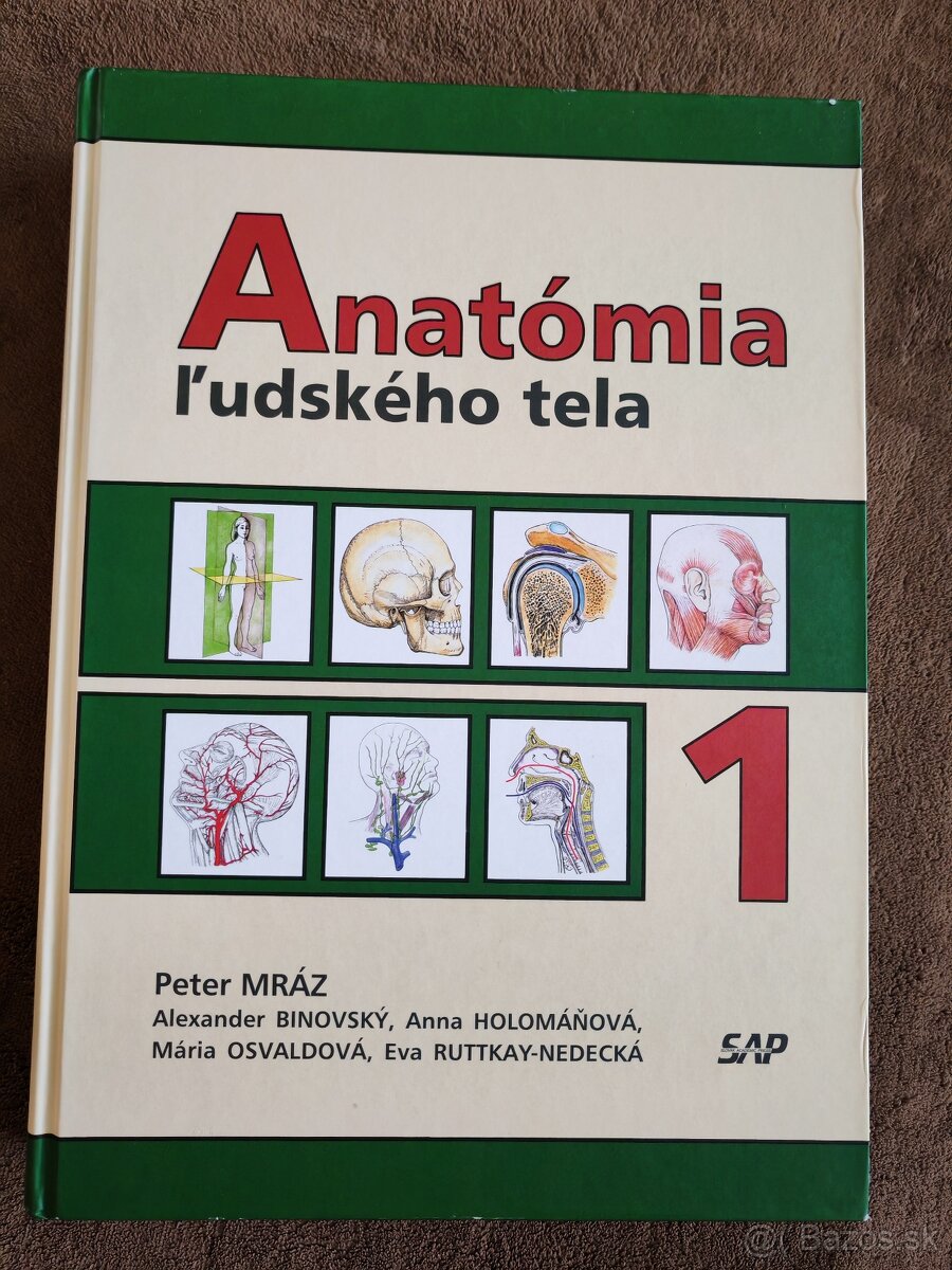 Anatómia ľudského tela 1