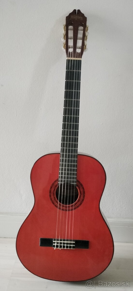 Gitara Washburn