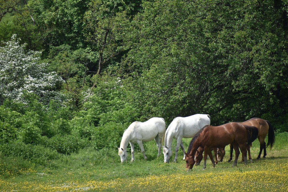 Ustajnenie v okolí MT, Tur. Teplice