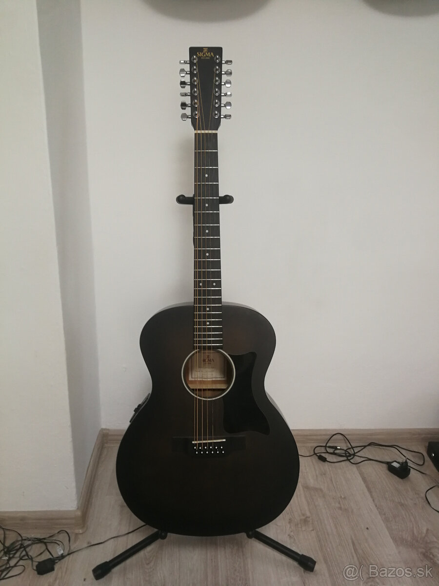 12 strunová gitara