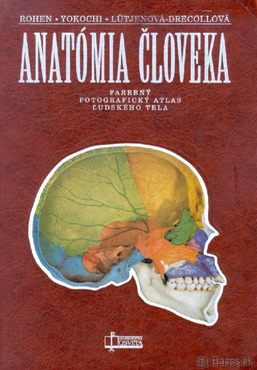 Anatómia človeka Yokochi pdf