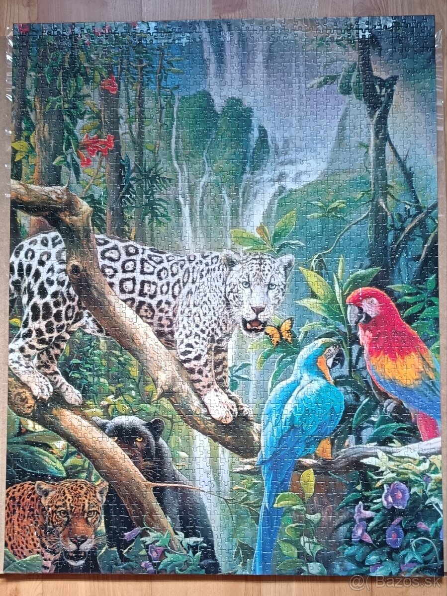 Puzzle 2000