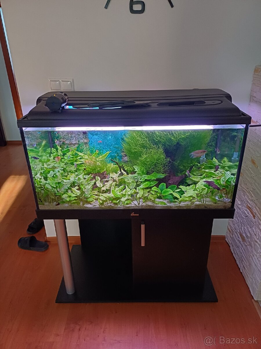 Aquarium 250 litrove