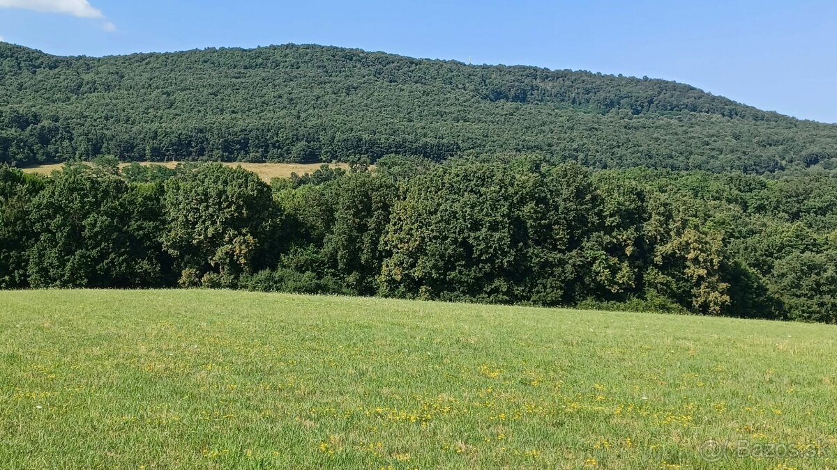 Ponúkame na predaj krásne pozemky 