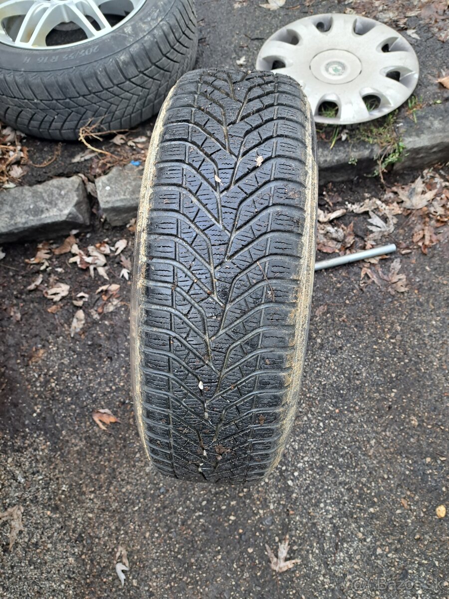 Zimné pneumatiky 195/65 R 15