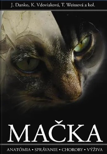 Mačka