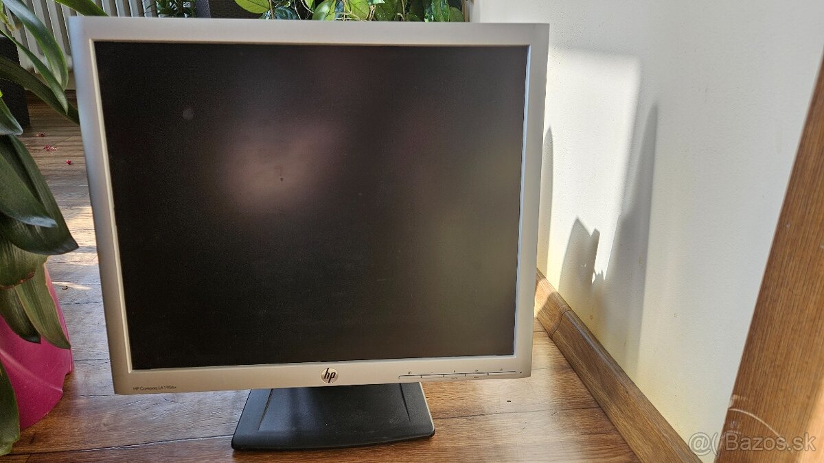 Monitor HP 19