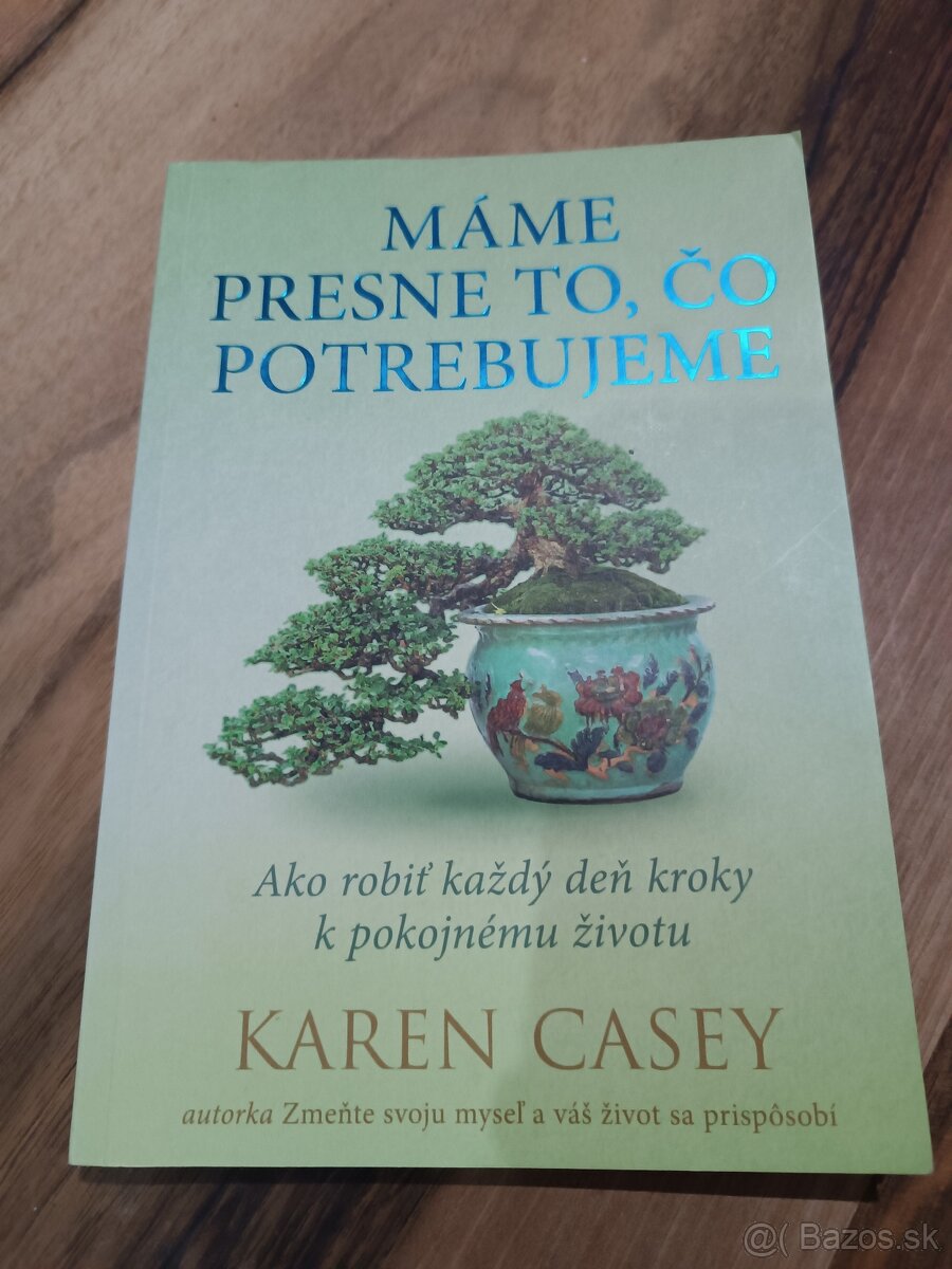 Kniha - máme presne to, čo potrebujeme - Karen Casey