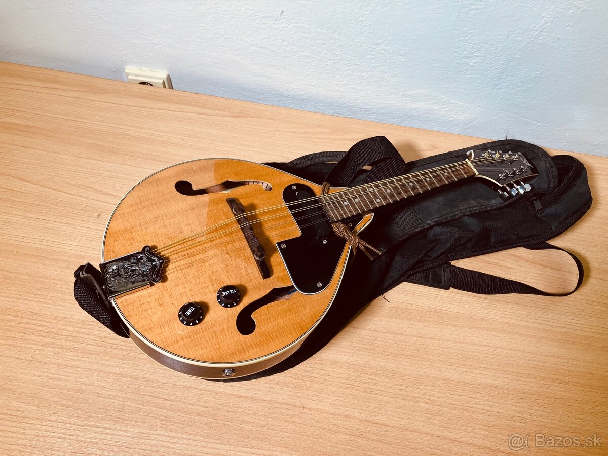 Mandolína SX MD30VT NA