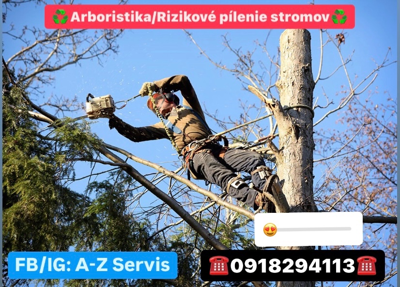 Pílenie /Orezy stromov / Arboristika/Frézovanie pňov