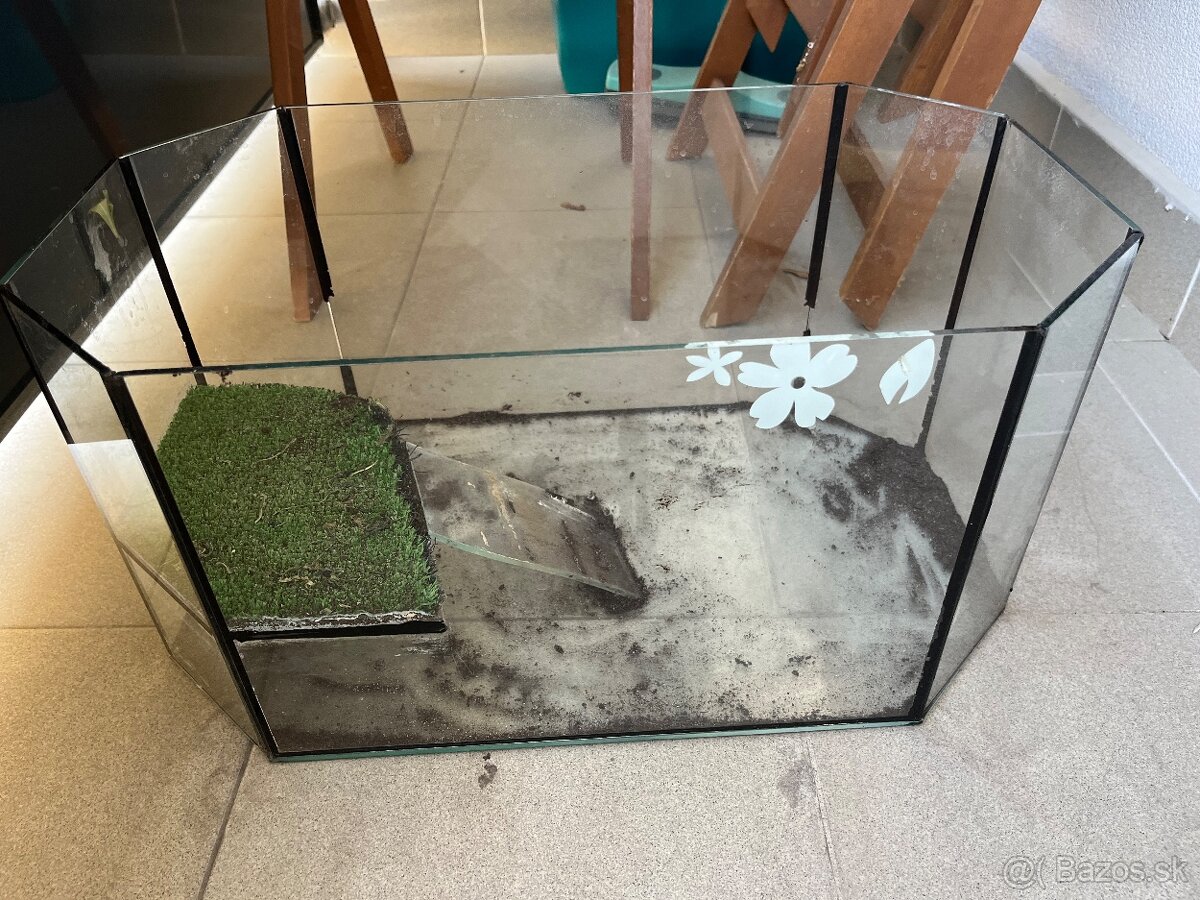 Terarium