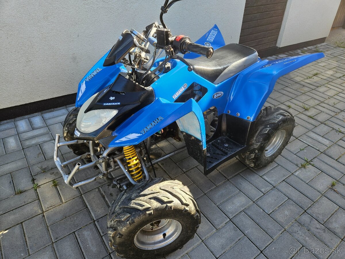 ATV 110