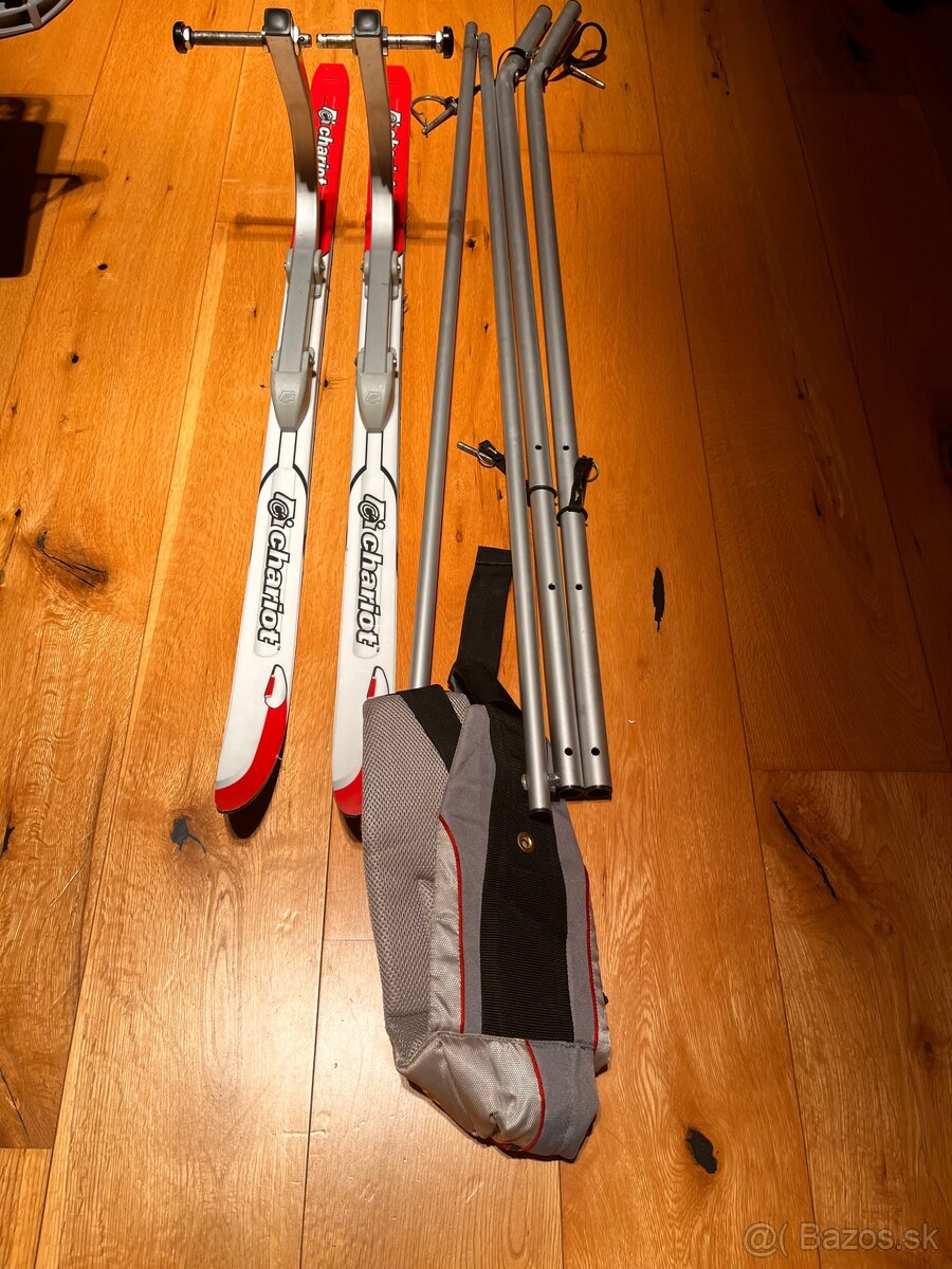 Thule Chariot Ski set