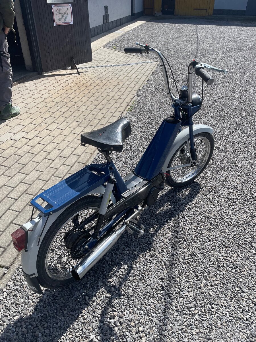 Babeta 207