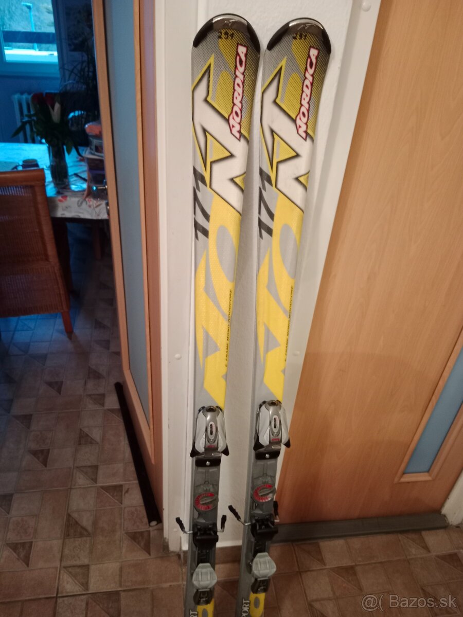 lyže Nordica 170 cm