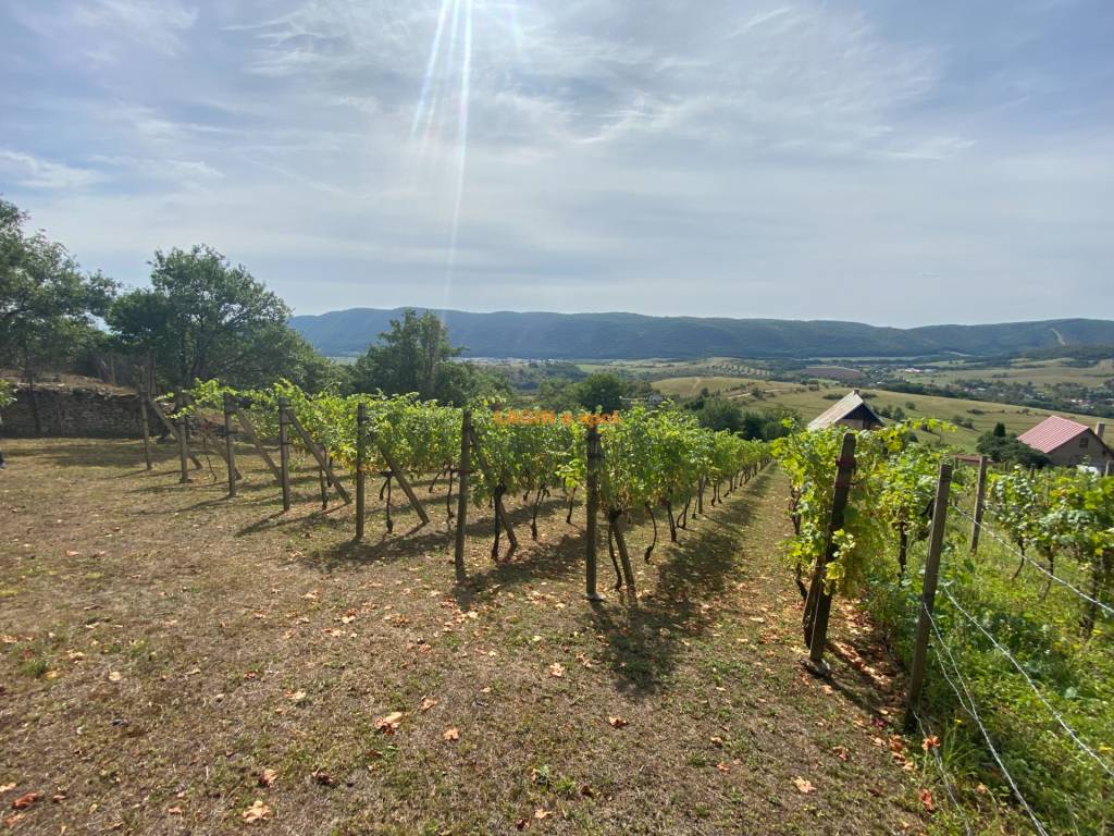 PREDAJ Nádherná vinica s chatkou, Hrušov