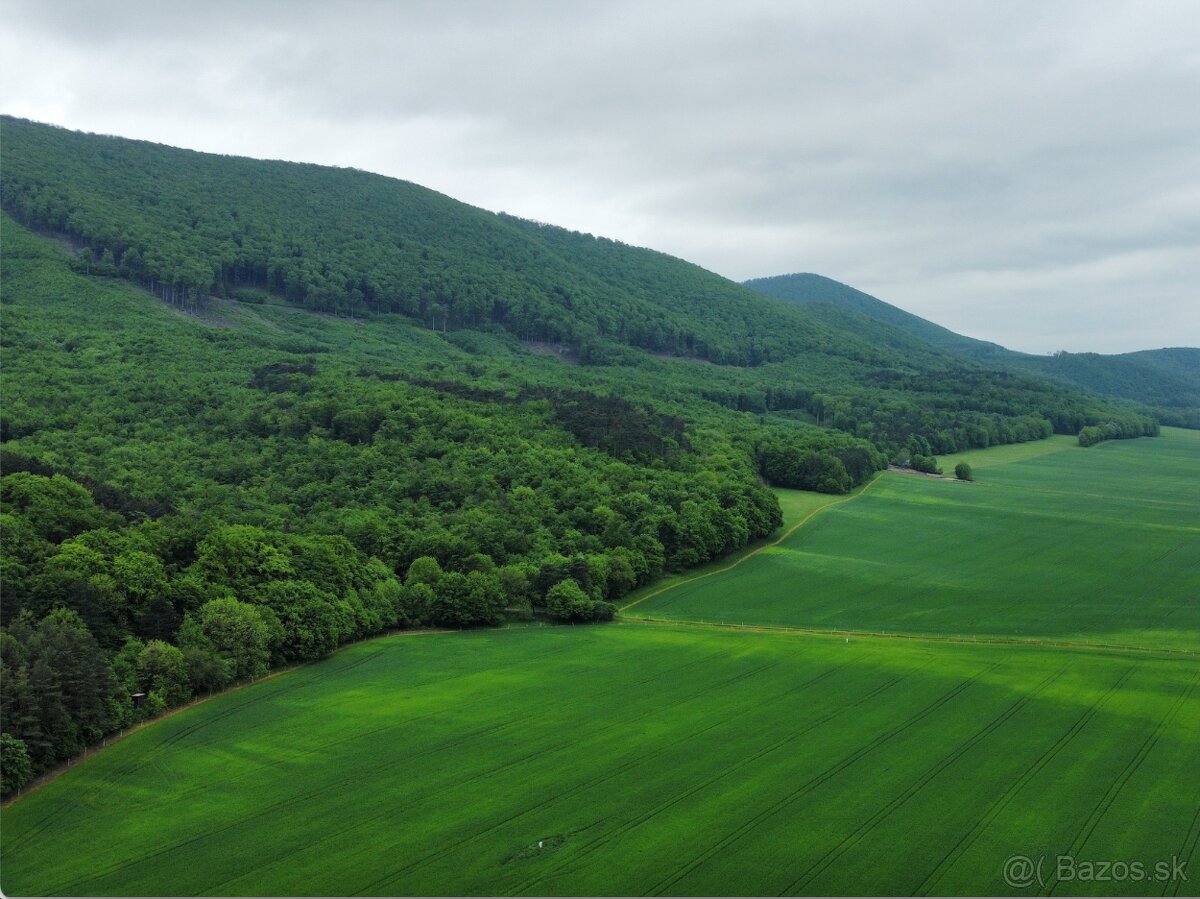 Orná pôda 3400 m2, Lošonec