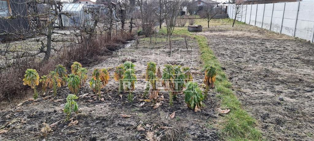 Pozemok na výstavbu rod.domu-400m2,ul. J.Kubinu, Malacky