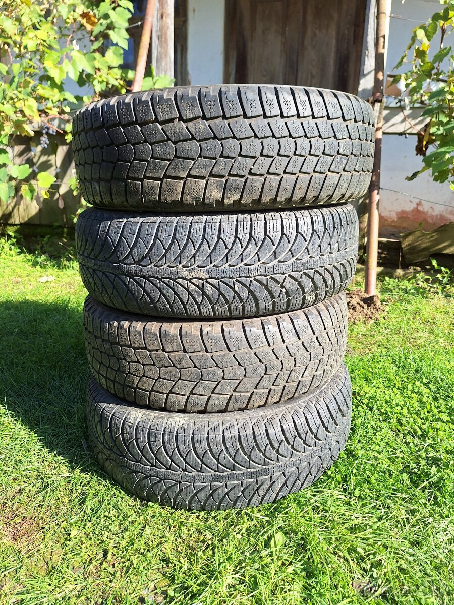 Zimné pneumatiky 195/65 R15