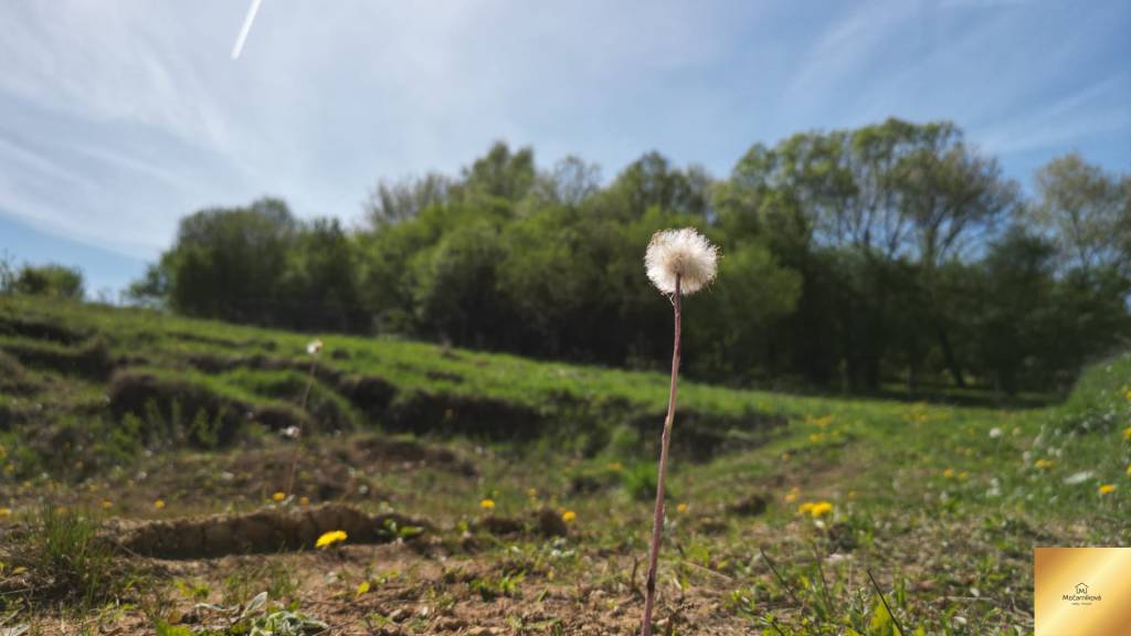 EXKLUZÍVNY pozemok z prekrásnym výhľadom KEBLIE 1156m2.