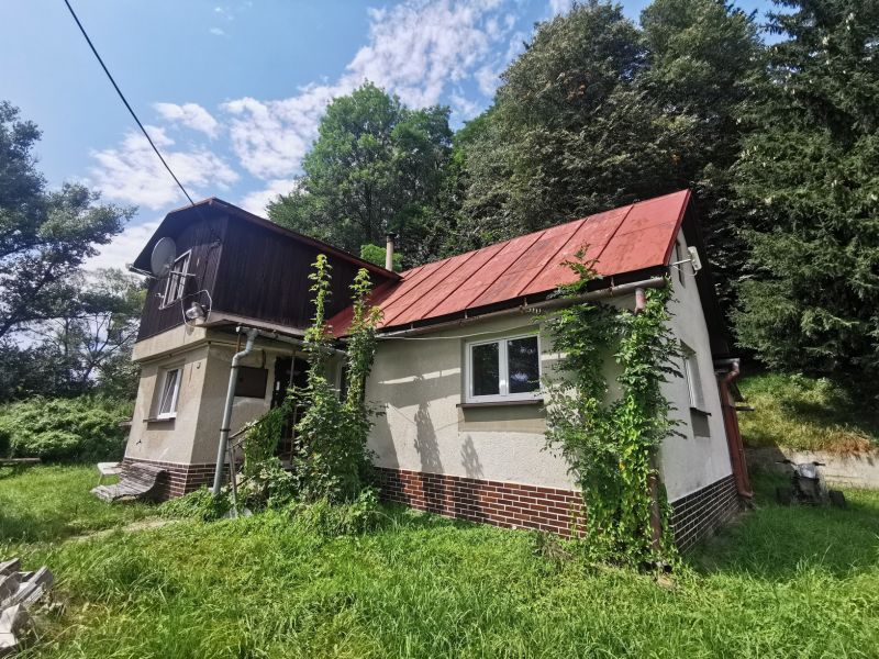 41952-Dražba rodinného domu v obci Olešná - znížená cena