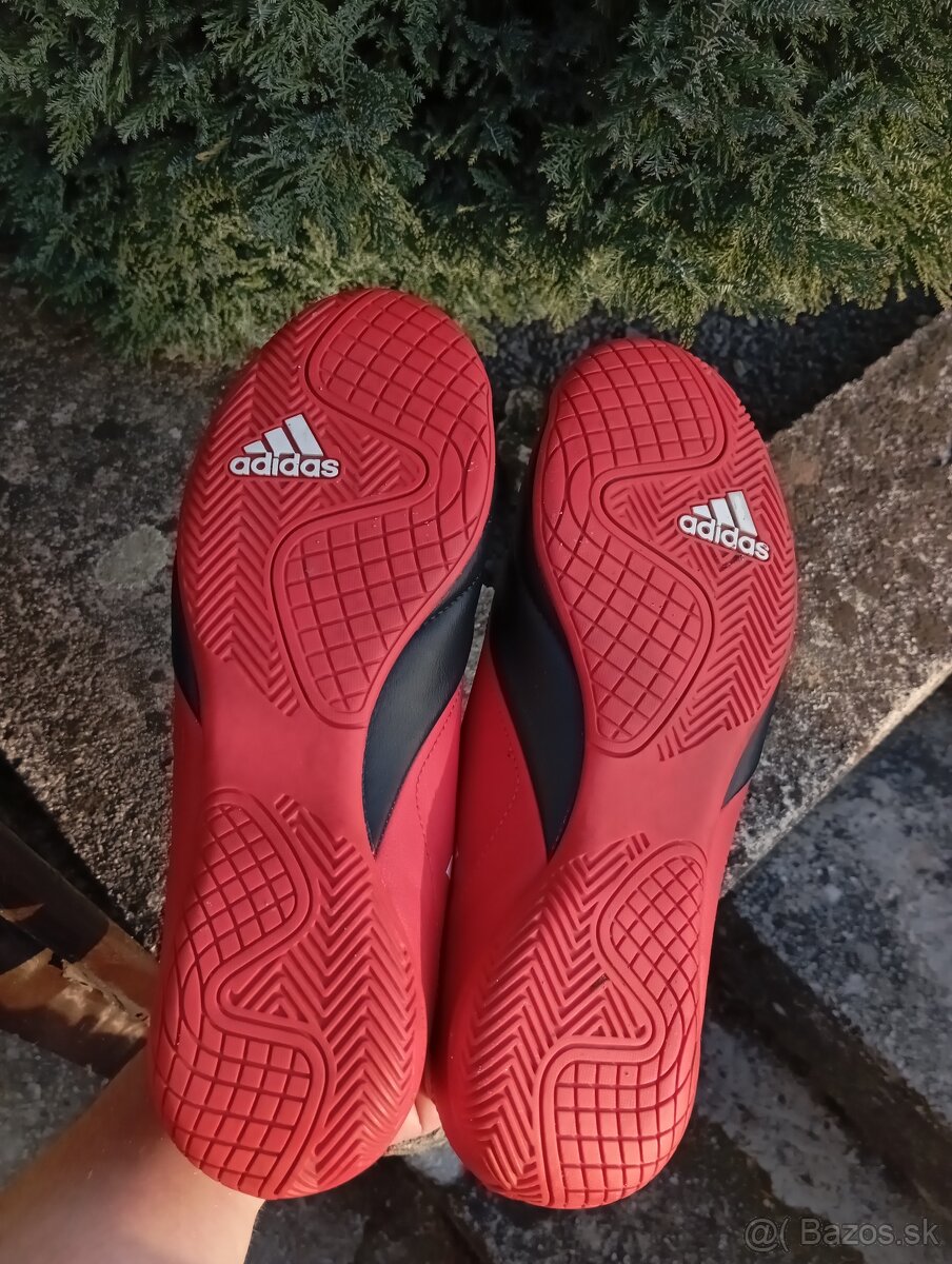 Adidas halovky