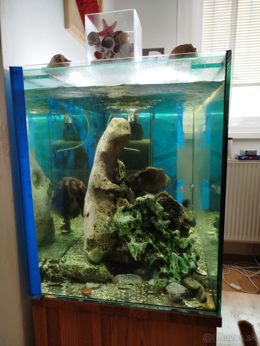 Aquarium