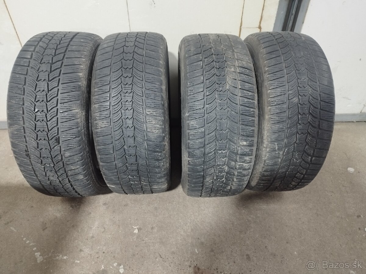 225/50 r17 zimne sava eskimo hp2