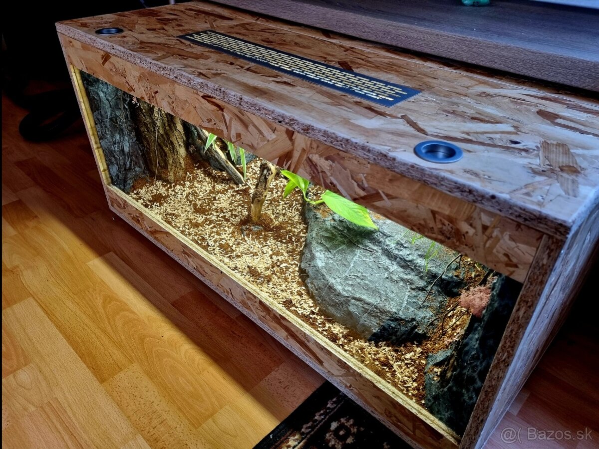 Terarium