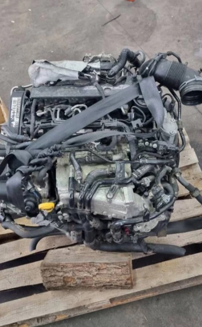 Motor 2.0 TDI 110kw