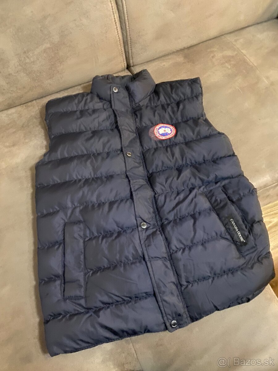 Vesta Canada Goose