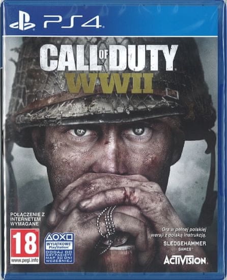 Call of Duty WWII (ps4)