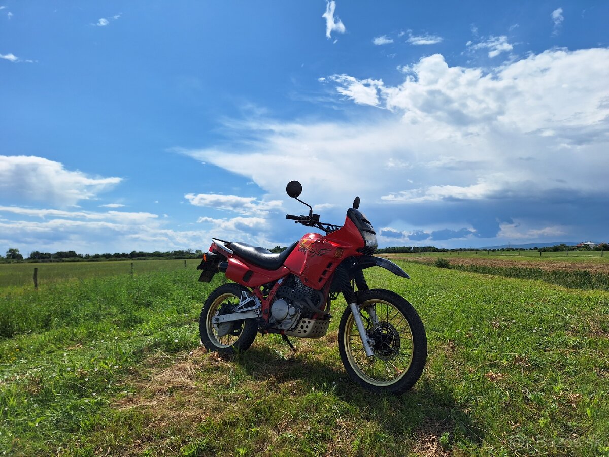 Honda nx650