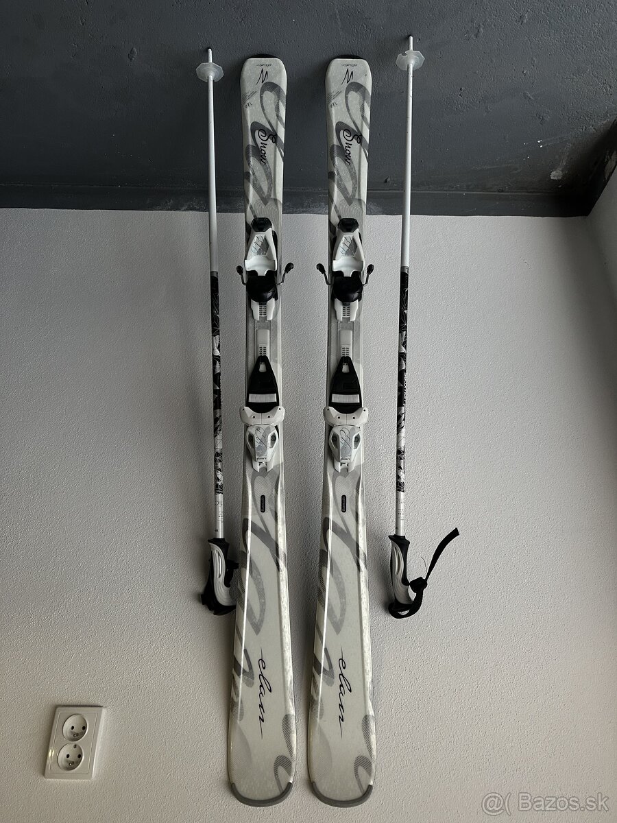 Salomon, Rossignol, Elan, Nordica