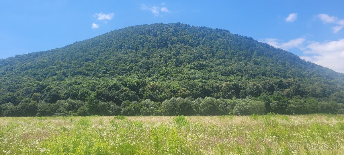 Pozemok na stavbu RD - Veľký Šariš