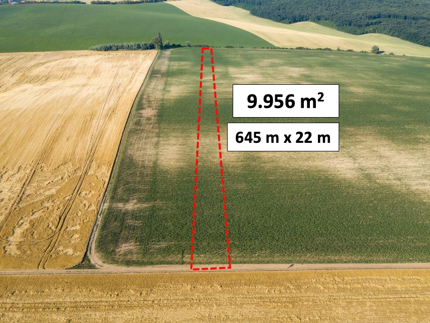 Pastuchov (Hlohovec) - 9.956 m2 ORNÁ PÔDA - Na predaj