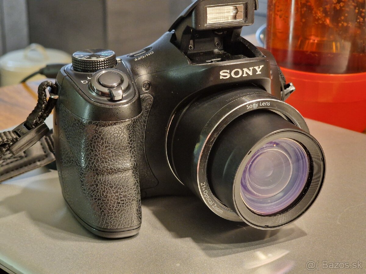 Sony Cyber-Shot DSC-H100