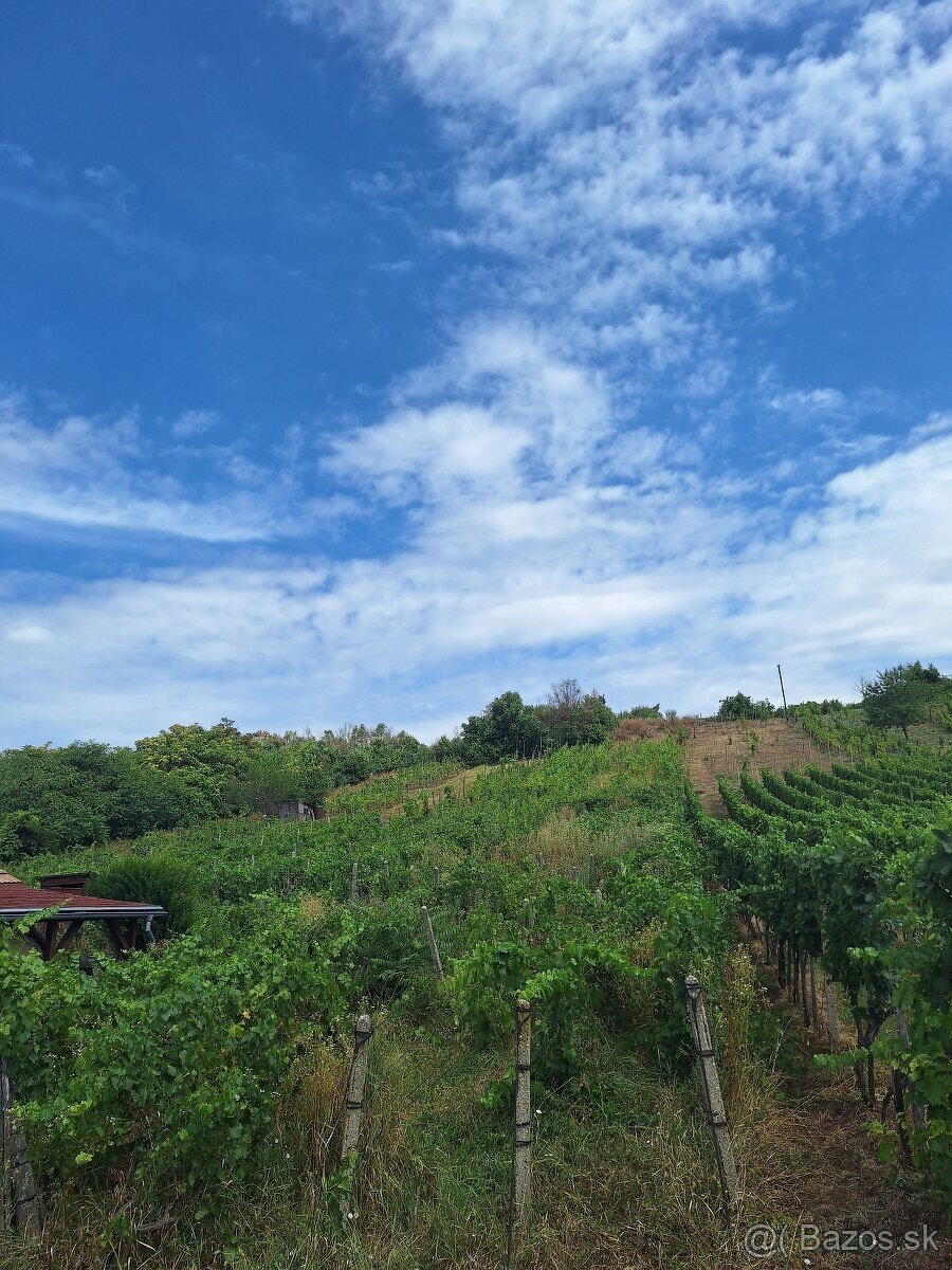 Na predaj dva viničné domčeky s vinicou, Strekov