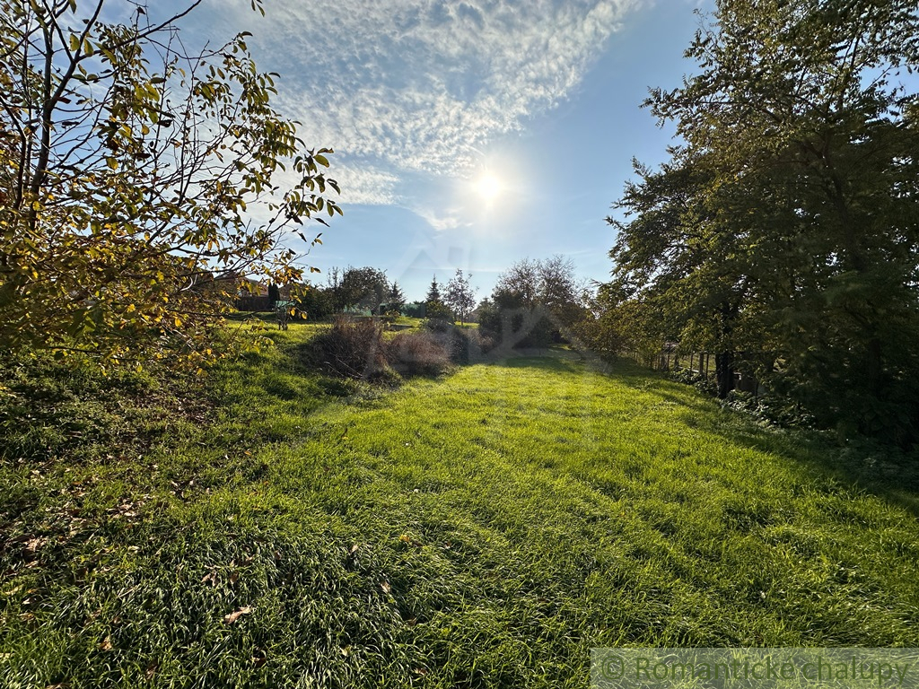 Pozemky s chatkou a záhradou vo Dvoroch nad Žitavou