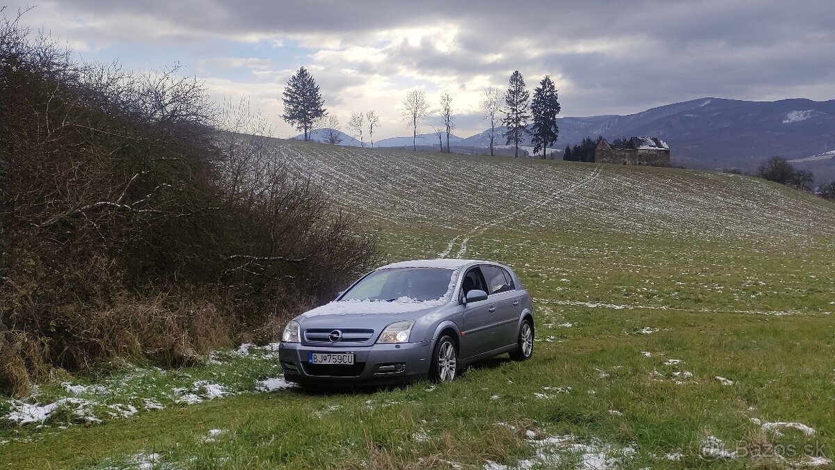 Opel Signum 2.0T (129kw) /265nm