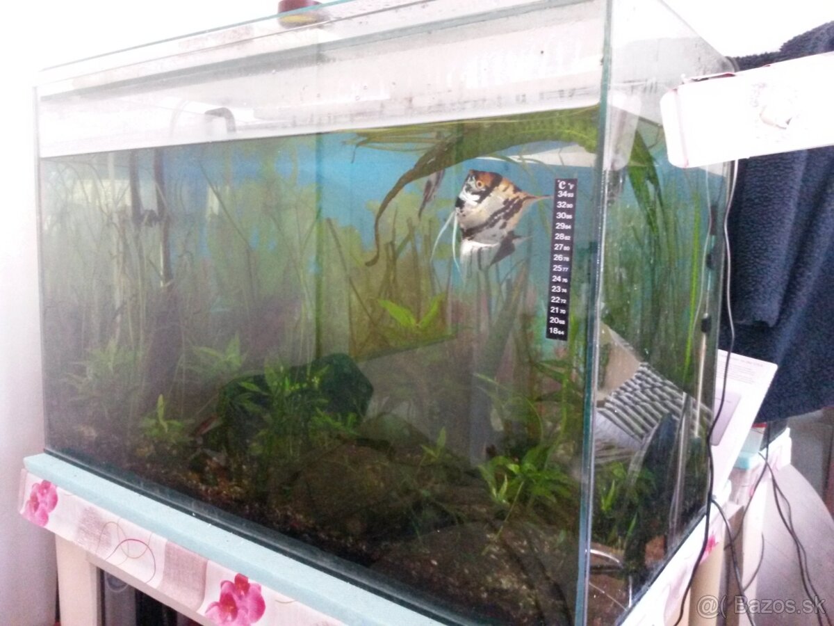 Predam akvarium s kamienkami,externy filter,2x okysličovač