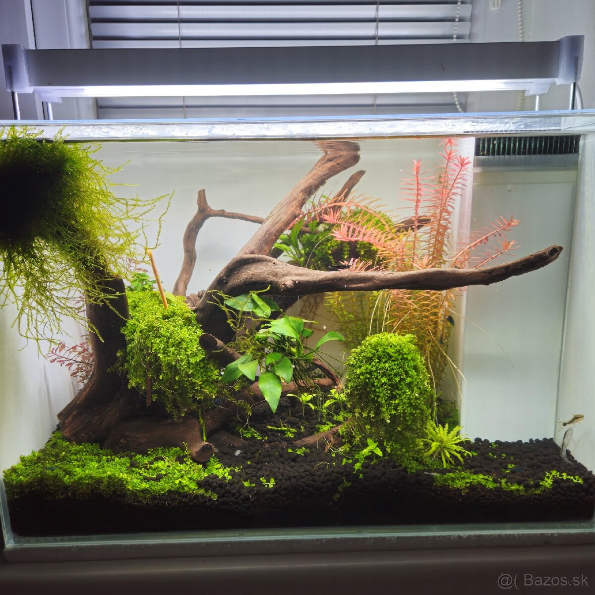 Akvarium Optiwhite 45x27x30cm