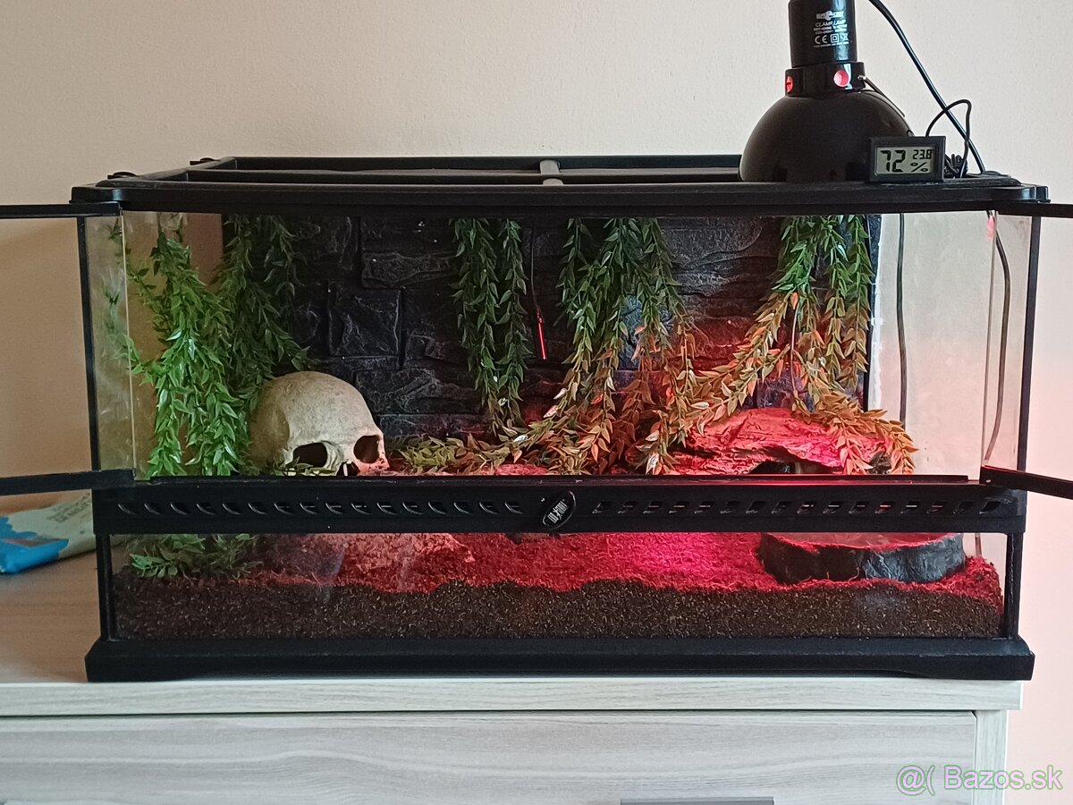 Terarium ExoTerra