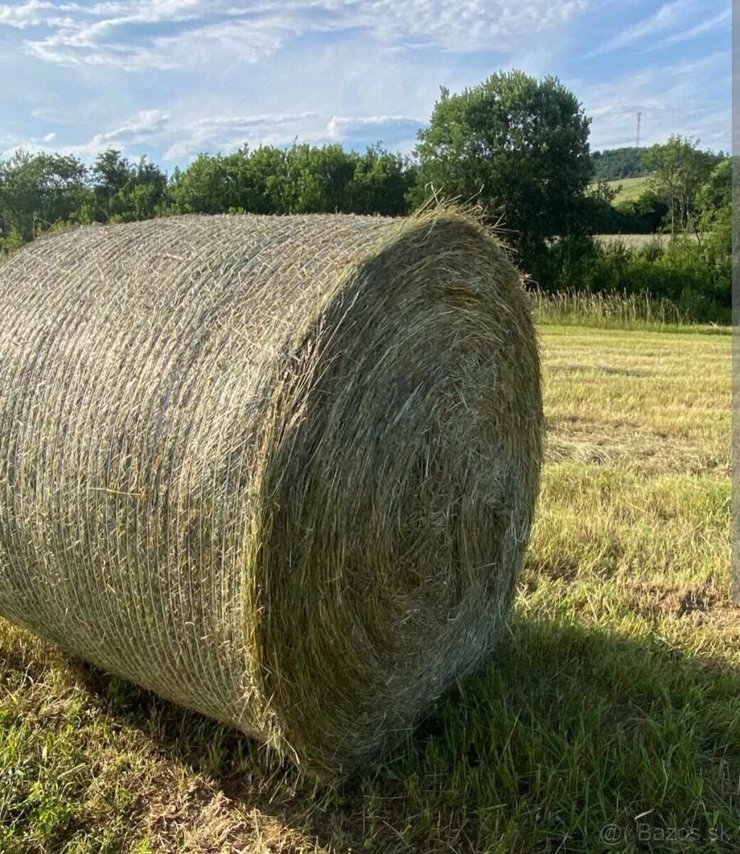 Predám seno vo veľkých balíkoch