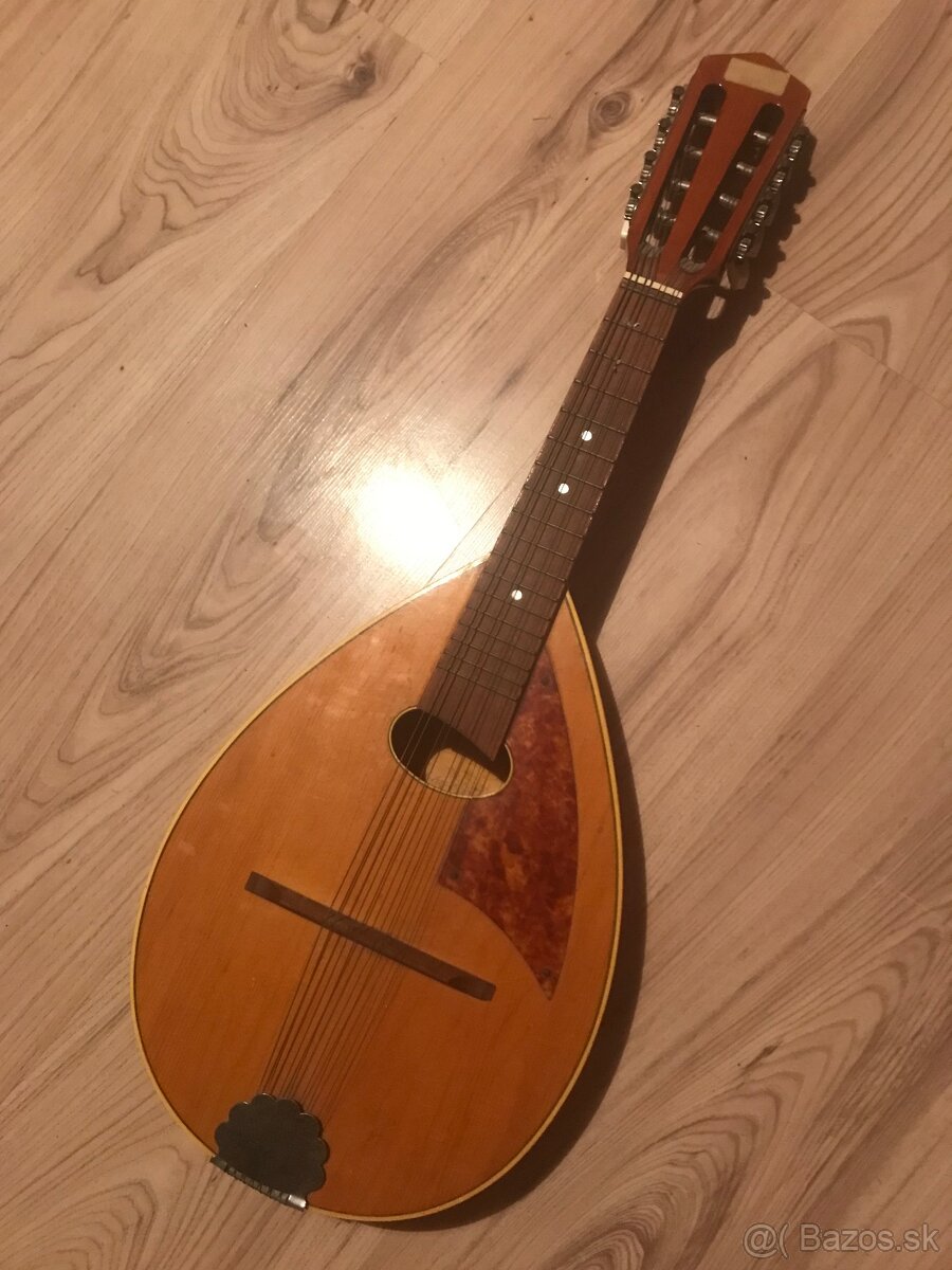 Mandolína 0584