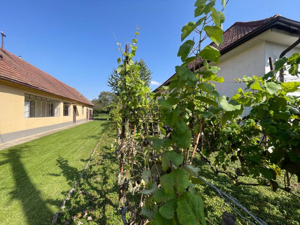 BabonyTRE I PREDAJ Rodinný Dom s pozemkom, obec Zálesie