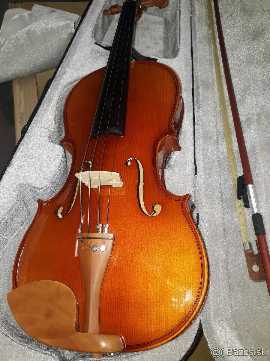 viola 16