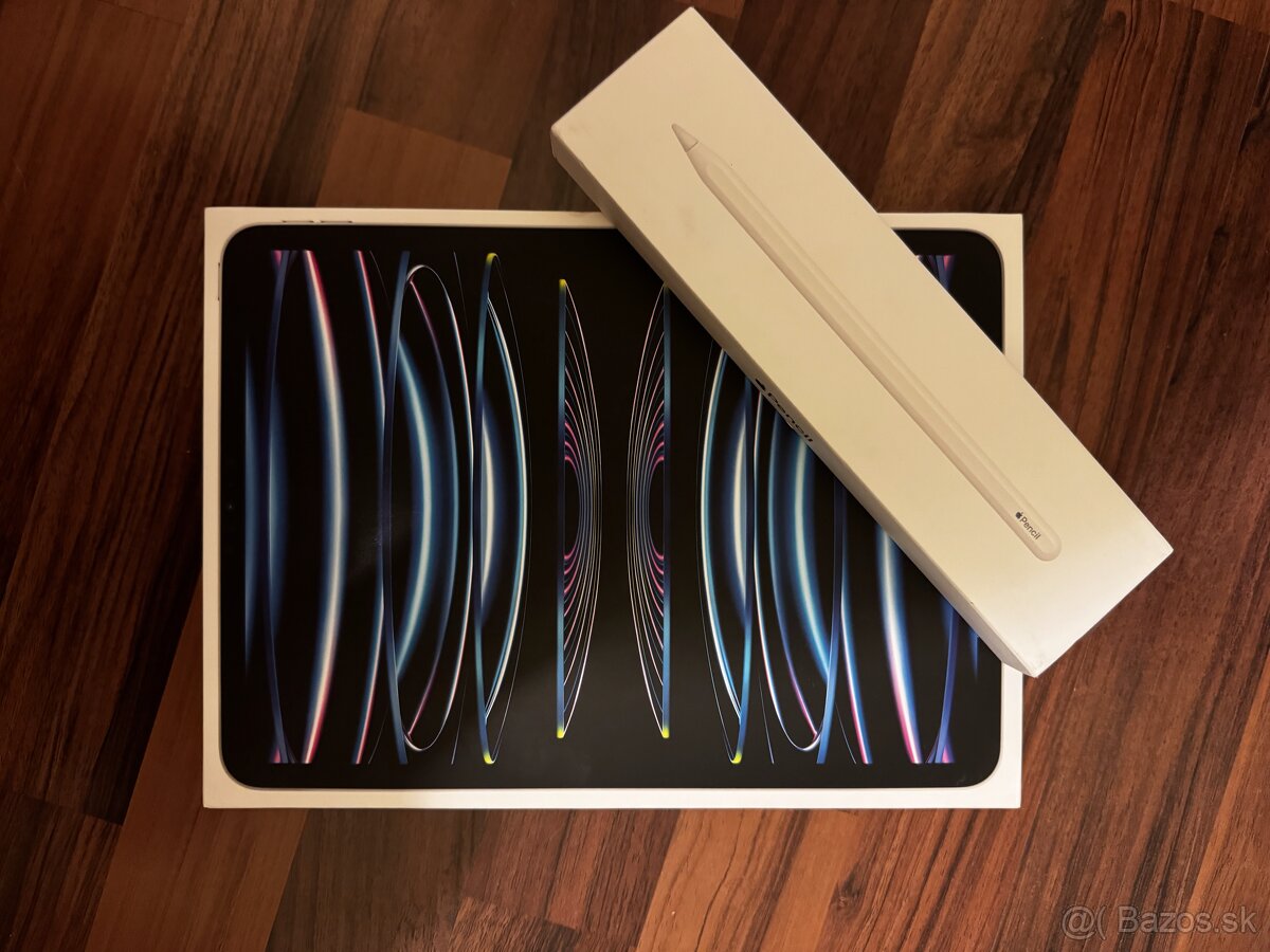 iPad Pro 11 (2022) 256gb SILVER