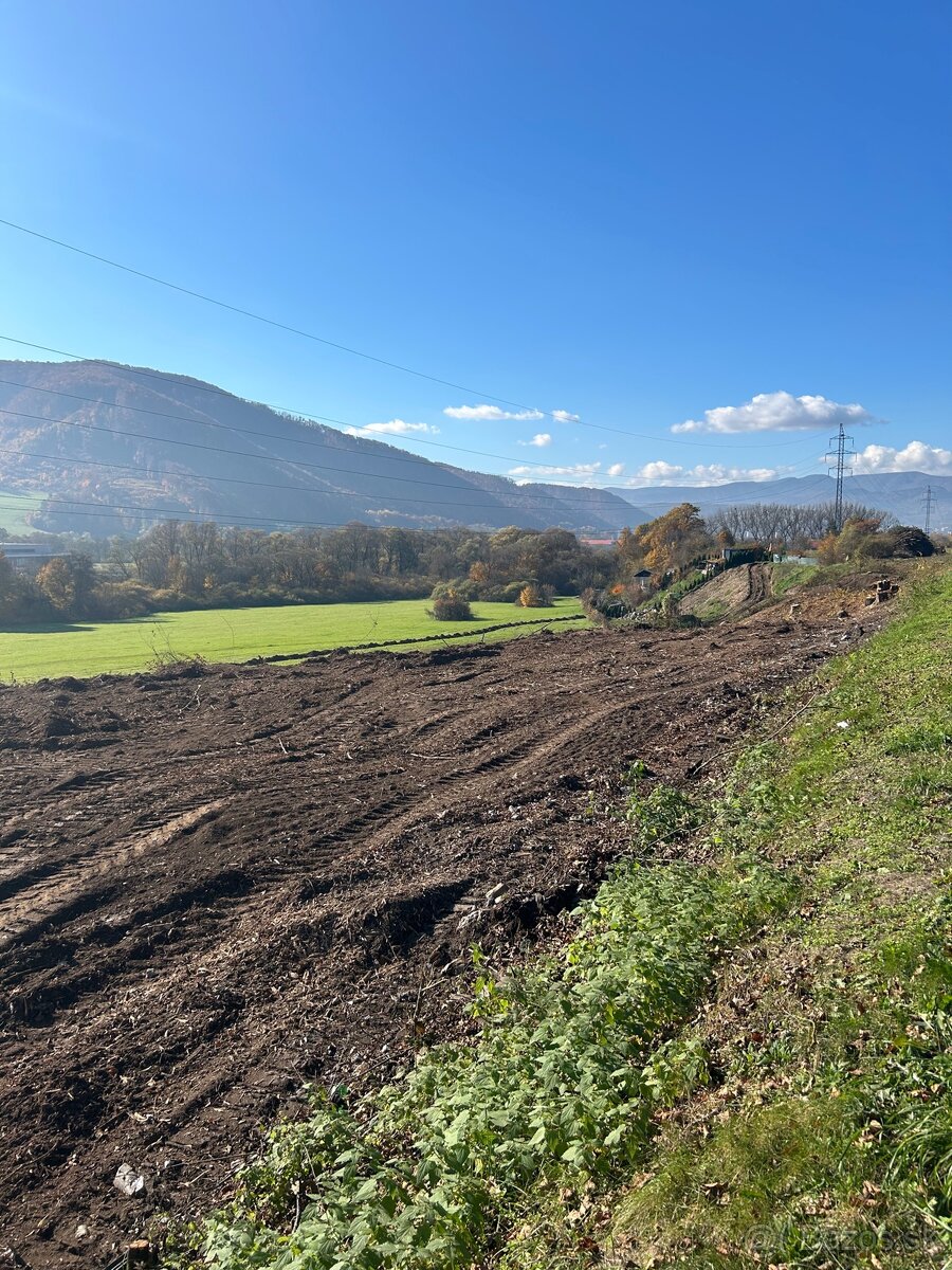 Čistenie areálov a pozemkov, ťažba dreva